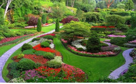 Rüyada Bitki Görmek: Büyüme, Beslenme ve Yön Arayışı Üzerine Batı Tipi Okuma