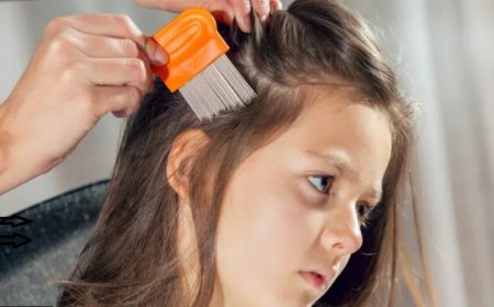 Rüyada bit görmek ne anlama gelir? Batı tipi yaklaşım - Freud, Jung, Adler