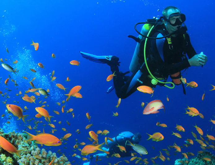 Rüyada dalgıç görmek ne anlama gelir? İslam alimlerinden detaylı tabirler