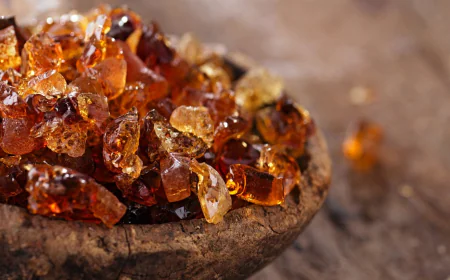 Rüyada zamk görmek ne anlama gelir: Menfaat, mal ve ağaç tabirleri